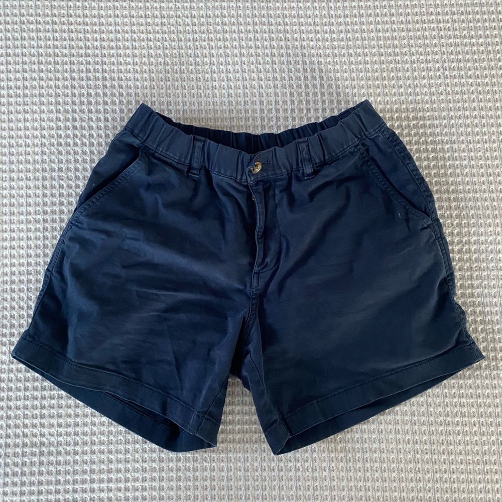 Bearbottom 5.5” Navy/Blue Shorts (M)